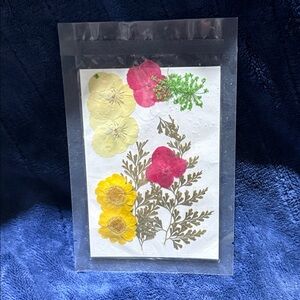 Pressed Floral Art Card with Yellow and Pink Blooms